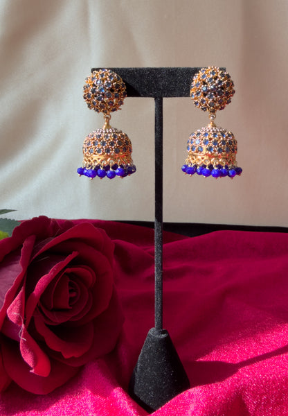 Roshni Jhumkas