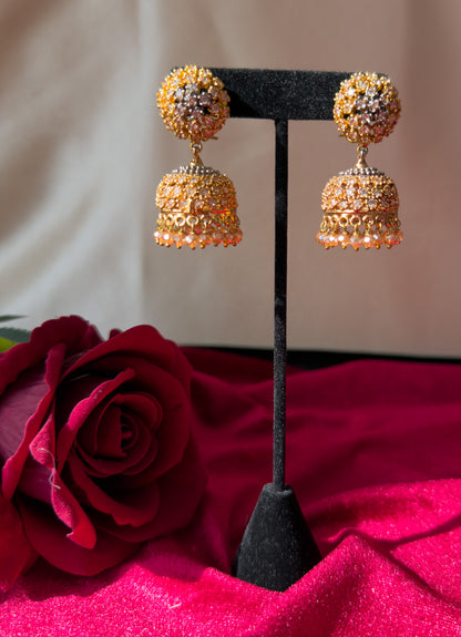 Roshni Jhumkas