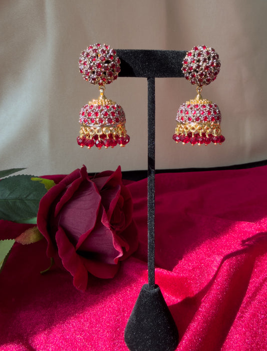 Roshni Jhumkas
